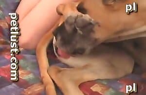 pussy-the-best-animal-porn-and-zoophilia-xxx-videos