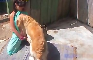 video de zoofilia