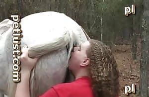 horse porn videos