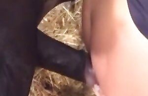video de zoofilia