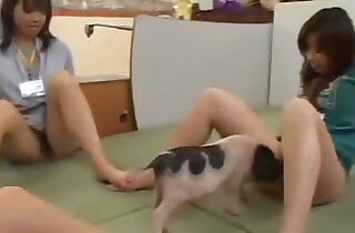 asian zoo porn,chick