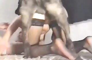 blonde,animal fuck porn