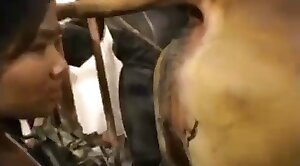 free zoo porn,animal sex videos