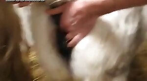 free zoo porn,animal sex videos