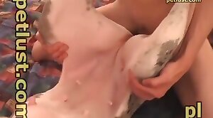 animal sex videos,sex with animals