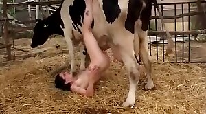 animal sex videos,sex with animals