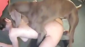 blonde,women and animals