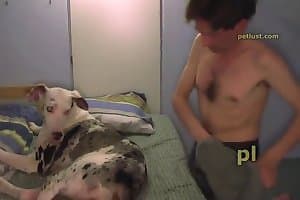 bitch,doggy porn