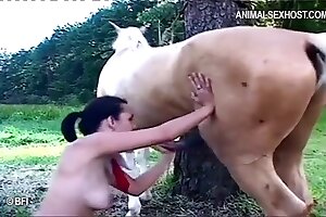 zoo porn,passionate zoo sex