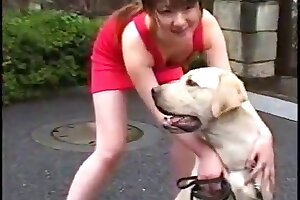 beastiality porn,zoo porn