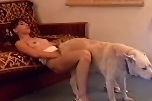 girl with animal sex,zoo sex