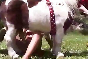 stallion porn,surprises