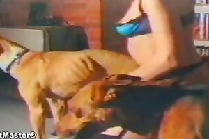 wild animals,zoo sex