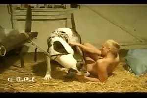 zoo sex,dog porn