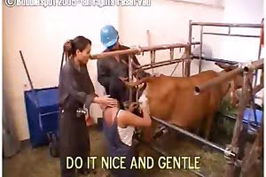 bestiality,farmsex