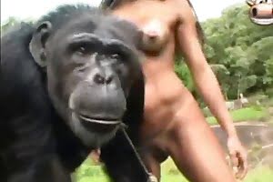 bestiality,monkey