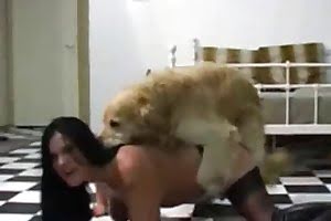 hardcore bestiality,cum