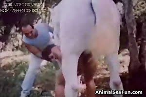 horse porn,cum