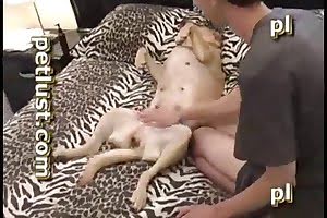 cute,hardcore bestiality