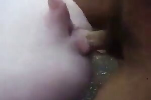 animal porno,hardcore bestiality