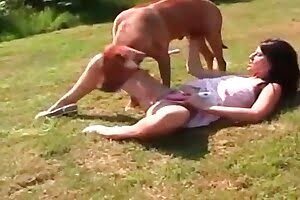 dog sex,babe