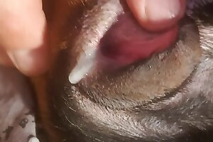 hardcore bestiality,closeup zoo porn