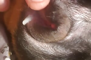 hardcore bestiality,closeup zoo porn