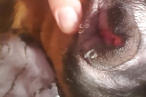 hardcore bestiality,closeup zoo porn