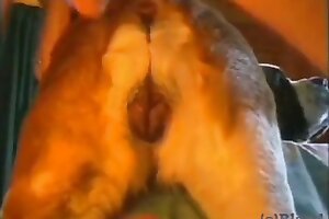 videos zoophilia,zoofilia porn