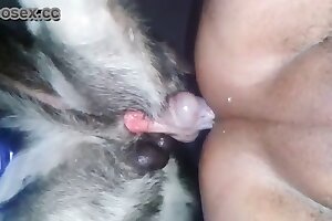 taboo zoo porn,bestiality