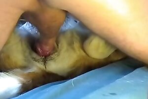 zoo sex tube,closeup zoo porn