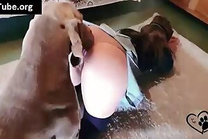 closeup zoo porn,bestiality