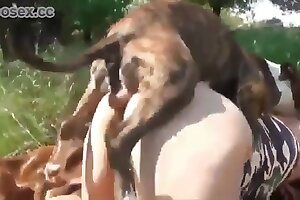 beastiality sex,outdoor