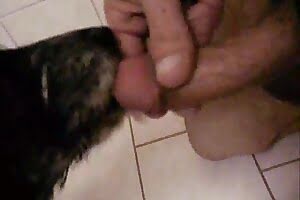bestiality,dog sex