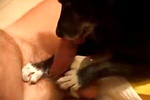 dog sex,blowjob