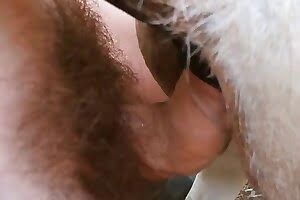 horse porn,fuck