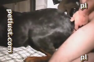 nighttime,gay zoo sex