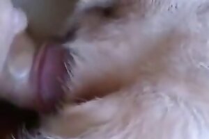 penetrates,dog sex