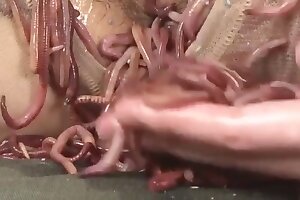 bestiality,video: