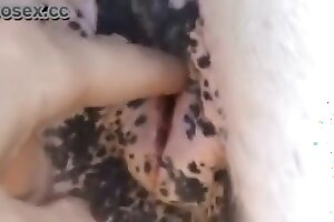 enjoying,wild