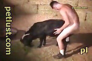 hardcore bestiality,sexual