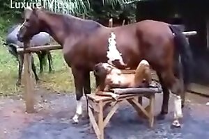 attraction:,attractive