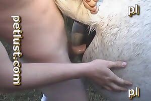 zoo sex tube,pussy