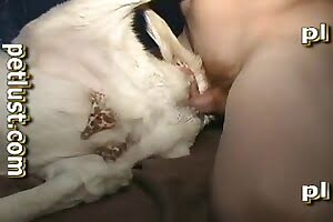 bestiality,hardcore bestiality