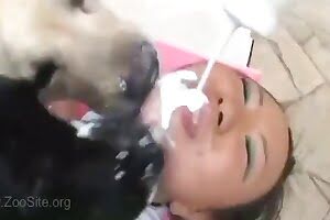 dog porn,fuck