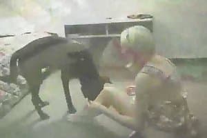 pet sex