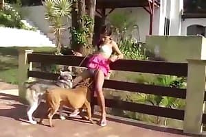 dog