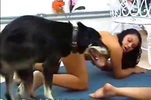 free animal porn