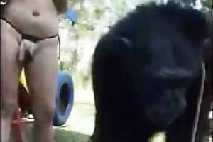 pet sex