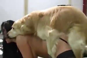 creampie